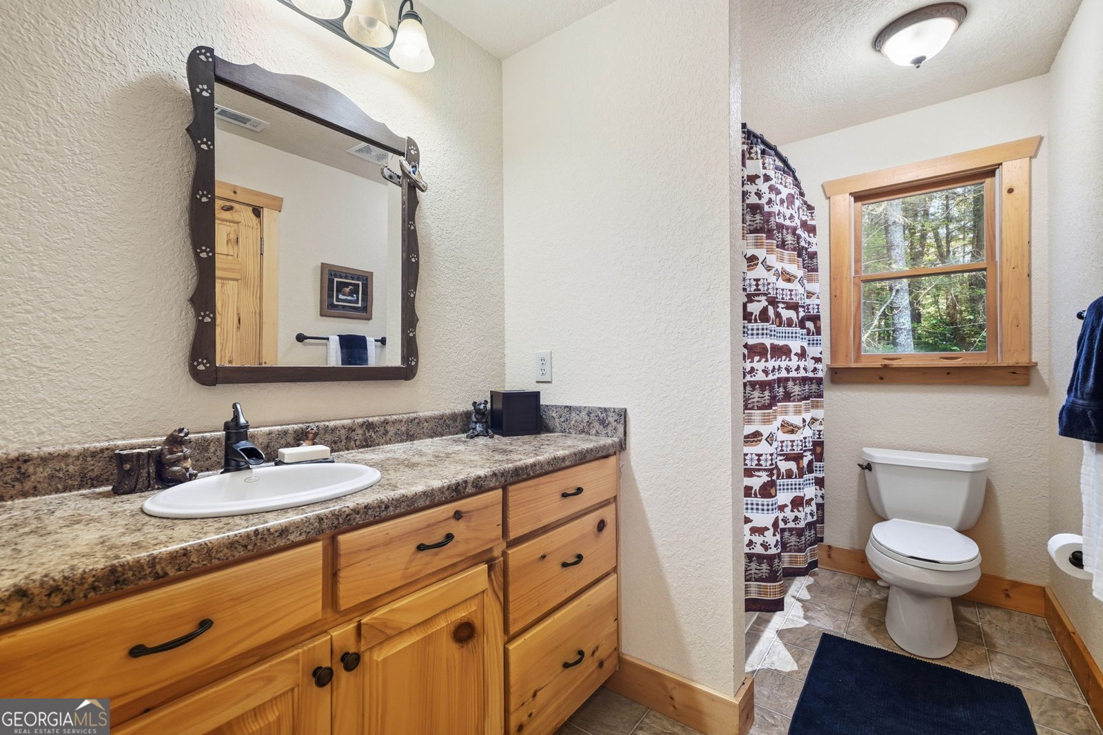 143 Hidden Lake Circle Ellijay - 12