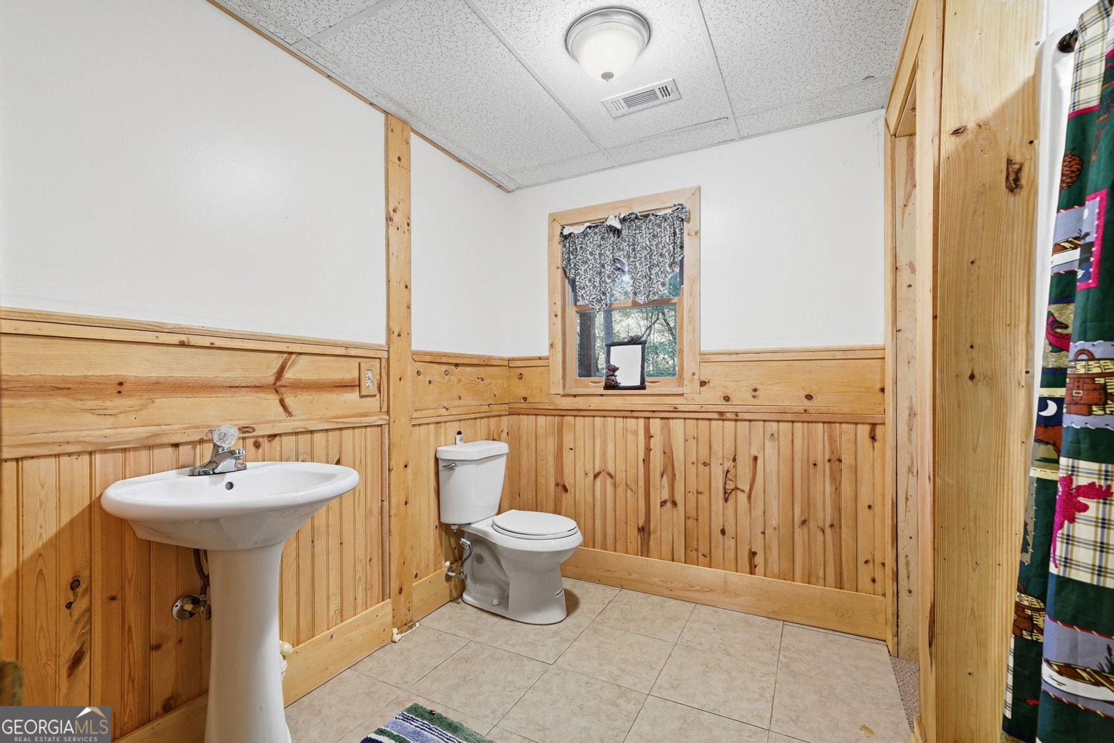 143 Hidden Lake Circle Ellijay - 22