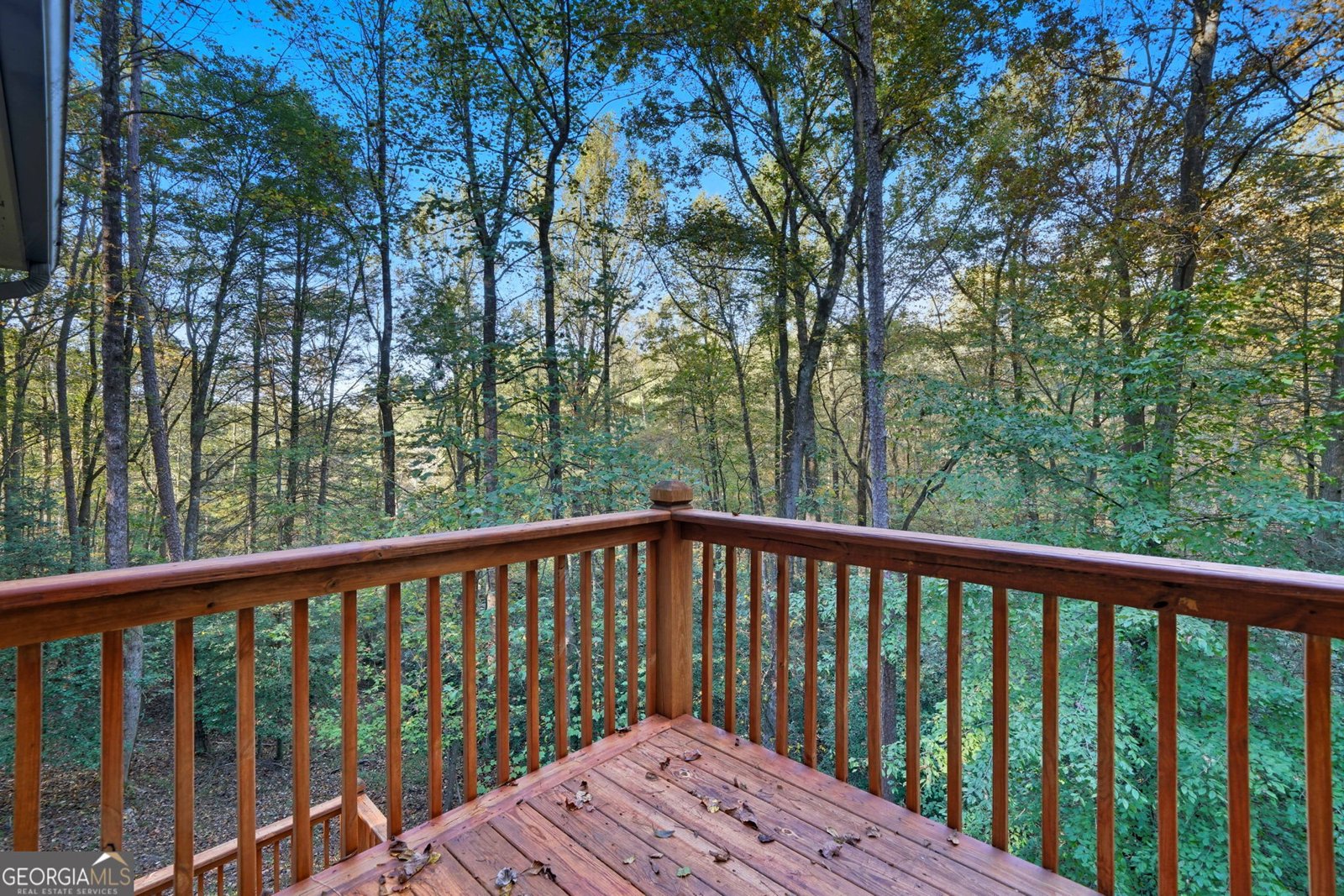 143 Hidden Lake Circle Ellijay - 26