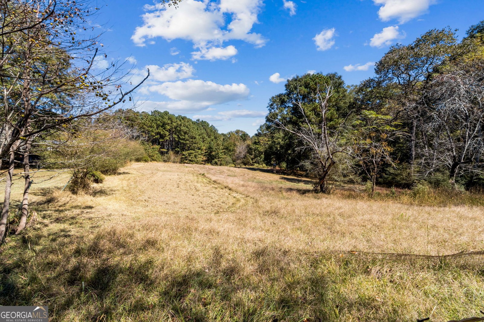 86 Appalachee Church Road Auburn - 18