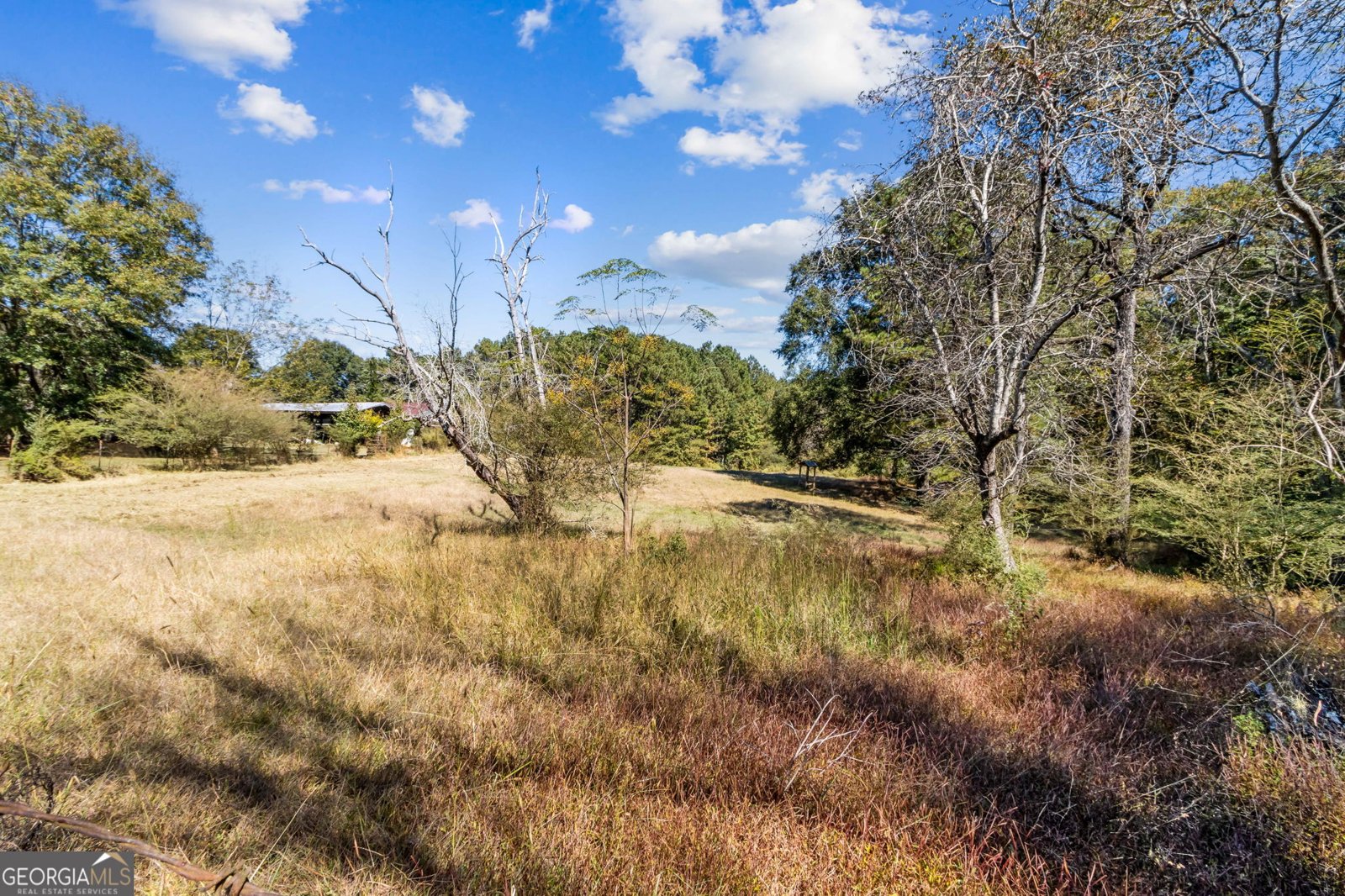 86 Appalachee Church Road Auburn - 19