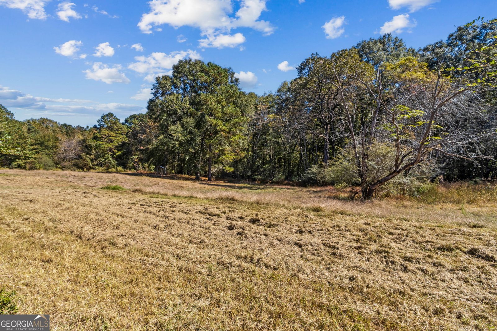 86 Appalachee Church Road Auburn - 20
