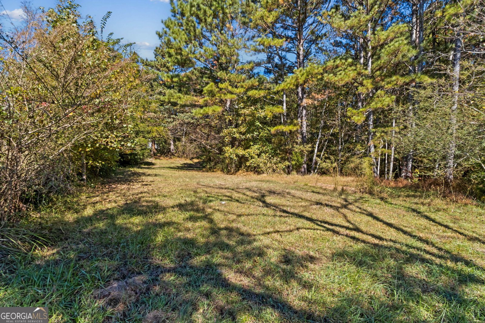 86 Appalachee Church Road Auburn - 22