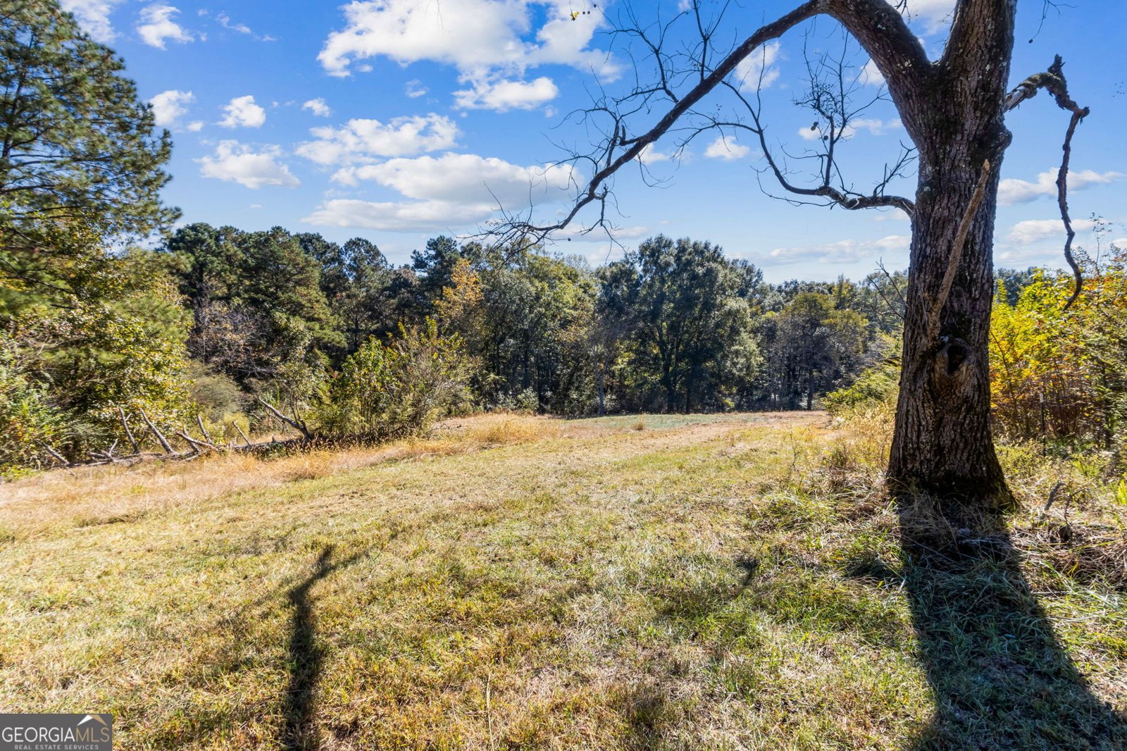 86 Appalachee Church Road Auburn - 25