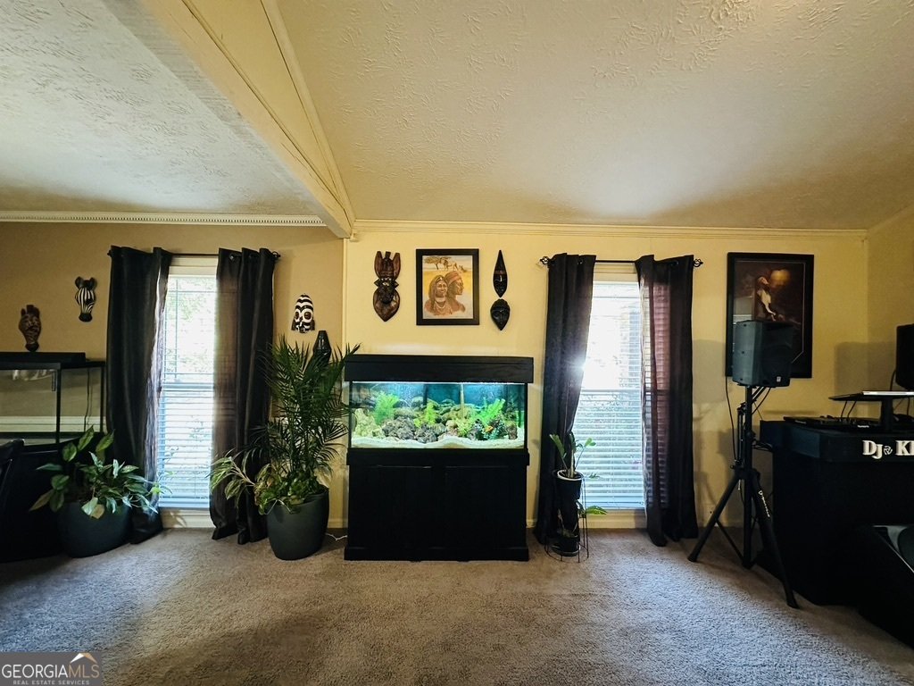 3453 Underwood Road Conyers - 5
