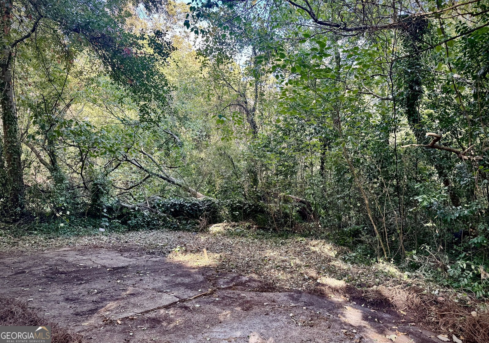 209 Boulevard Lagrange - 22