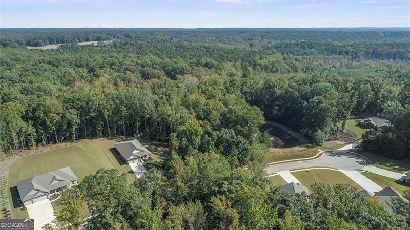 143 WHITWORTH Drive Locust Grove - 6