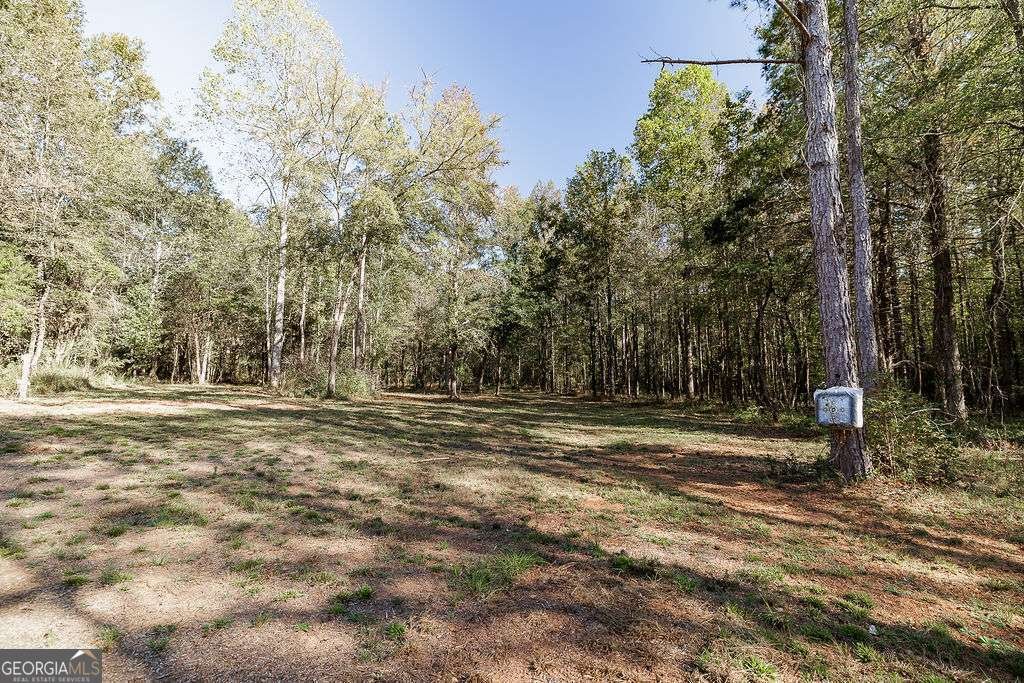 339 Sam Groves Street Danielsville - 25