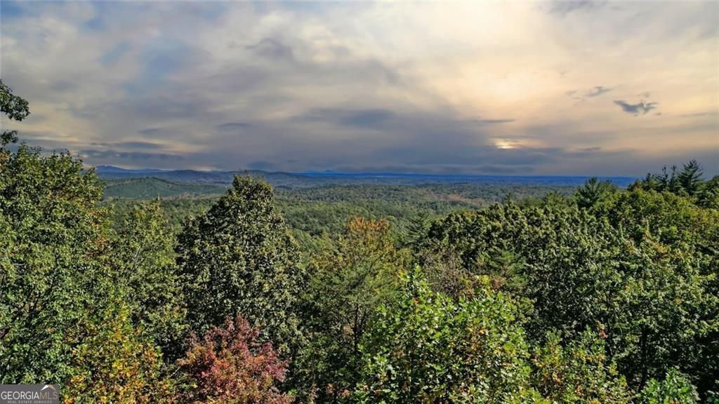 1499 Eagle Ridge Road Dawsonville - 1