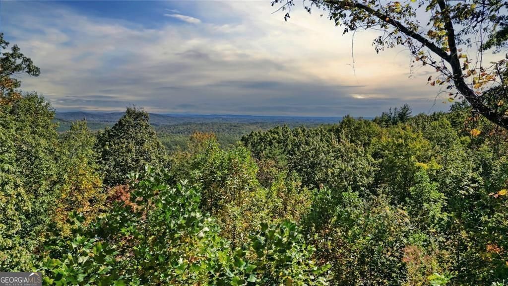 1499 Eagle Ridge Road Dawsonville - 25