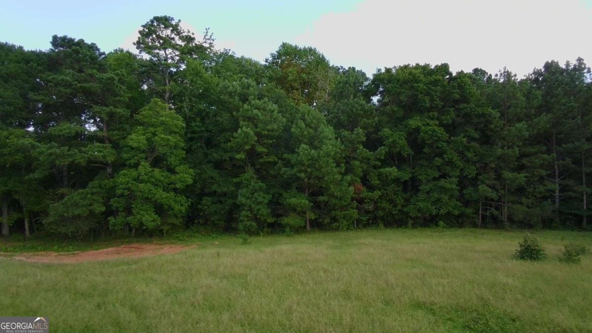 876 Simpson Mill Road Locust Grove - 16