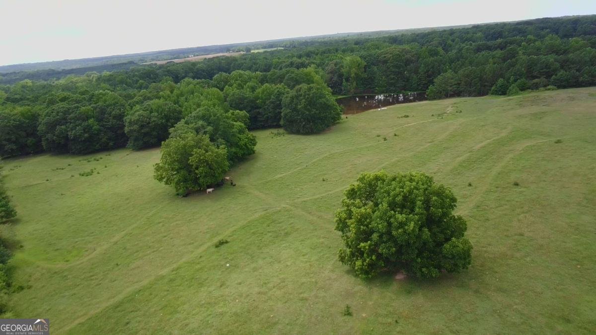 876 Simpson Mill Road Locust Grove - 6