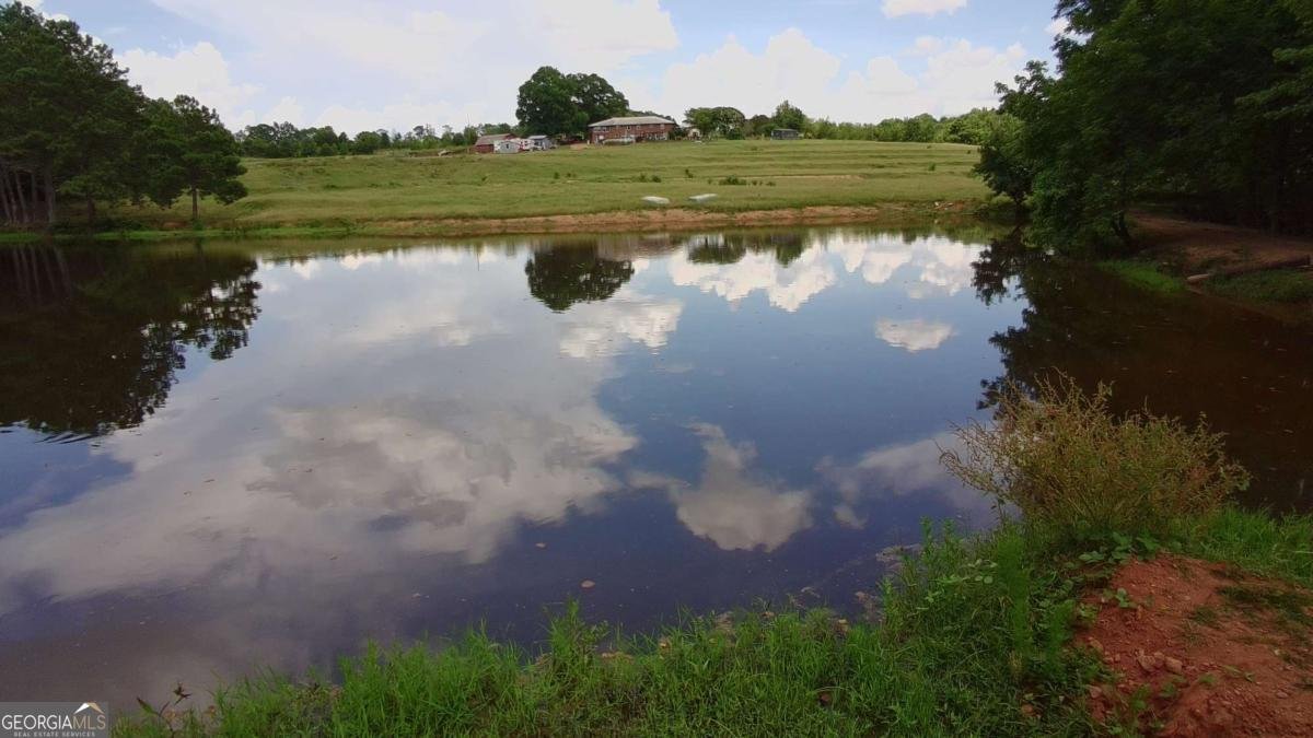 876 Simpson Mill Road Locust Grove - 9