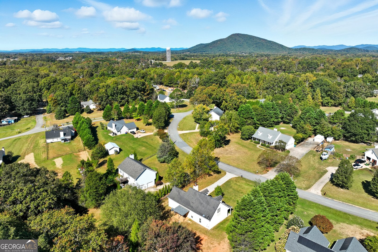 6217 Green Mountain Lane Clermont - 16