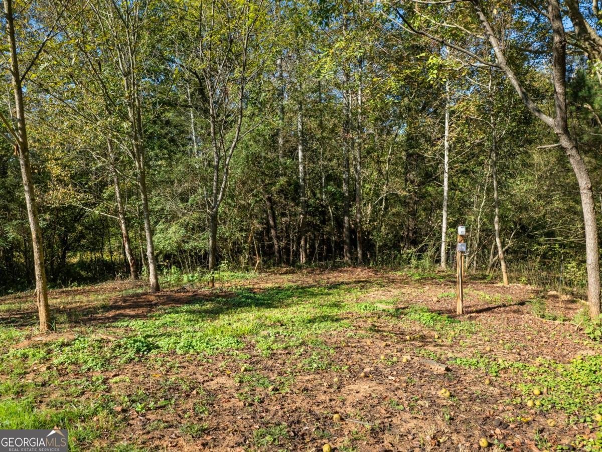 1328 Jefferson Highway Winder - 61