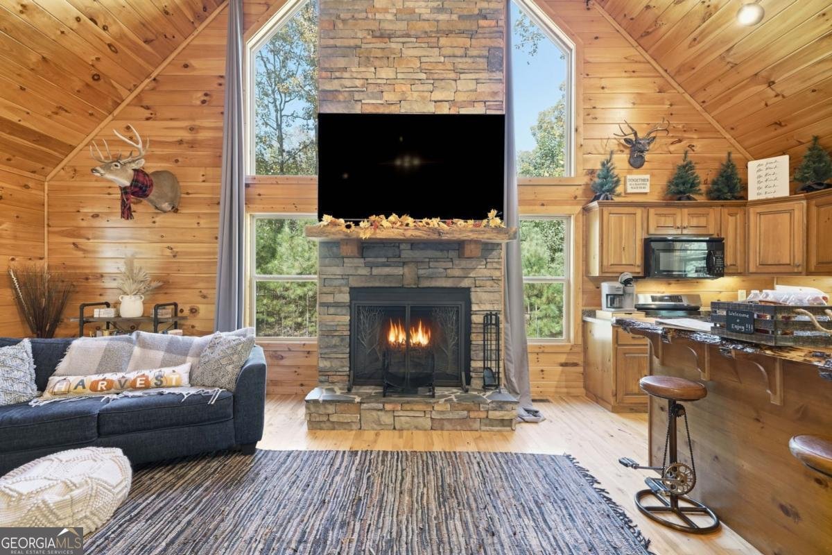 441 Carlisle Drive Ellijay - 12