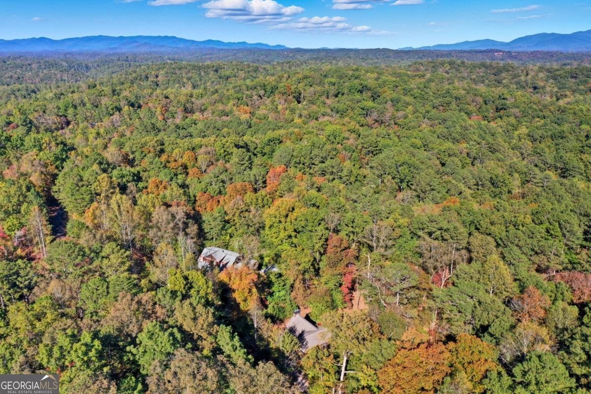 441 Carlisle Drive Ellijay - 42