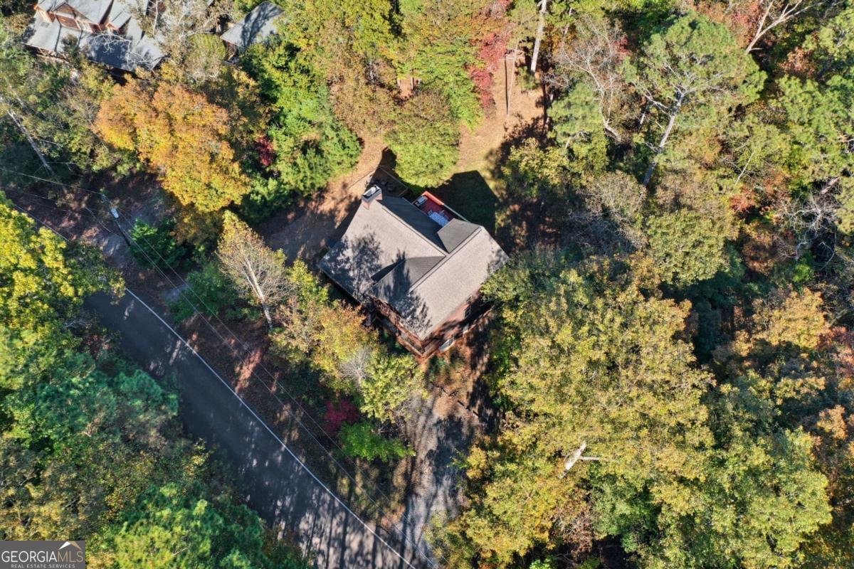 441 Carlisle Drive Ellijay - 43