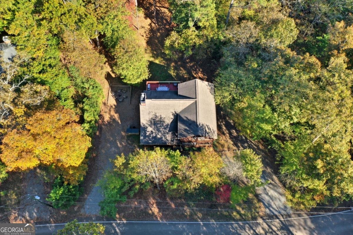 441 Carlisle Drive Ellijay - 44