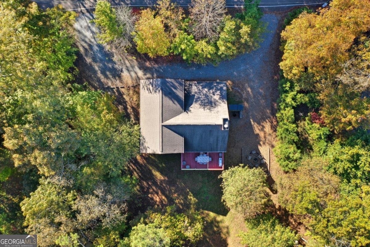 441 Carlisle Drive Ellijay - 45