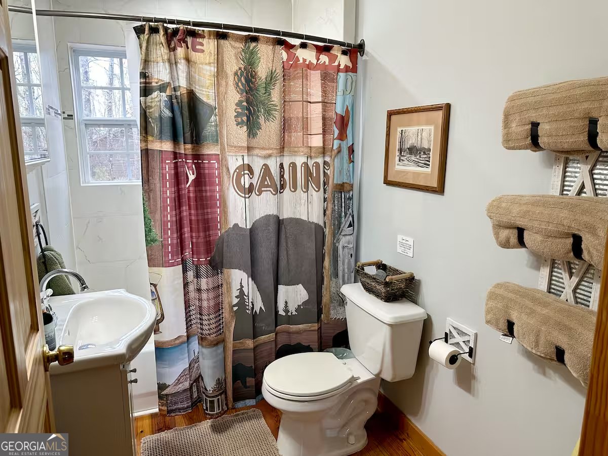 469 Mull Drive Blue Ridge - 18