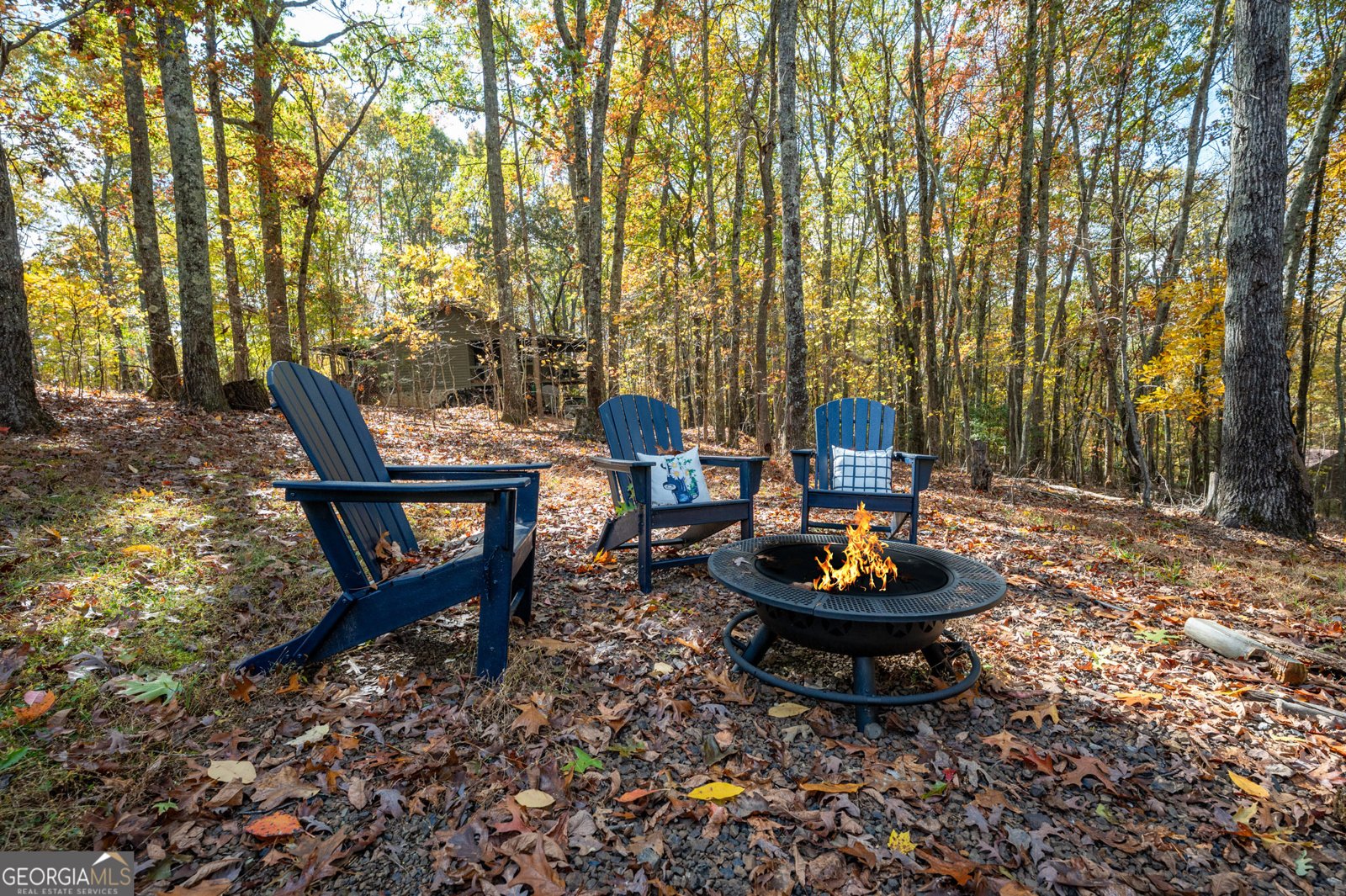 469 Mull Drive Blue Ridge - 21