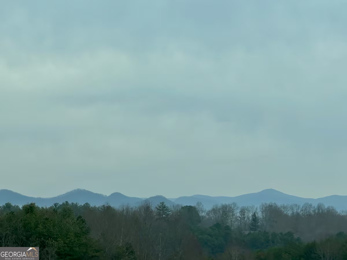 469 Mull Drive Blue Ridge - 24