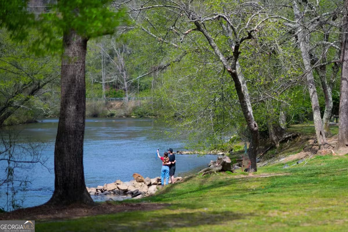 469 Mull Drive Blue Ridge - 26