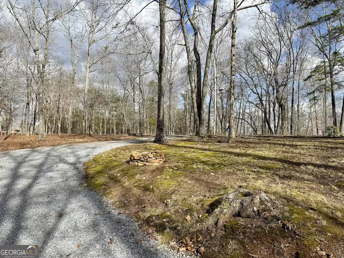 469 Mull Drive Blue Ridge - 29