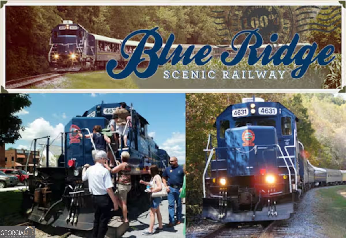 469 Mull Drive Blue Ridge - 33