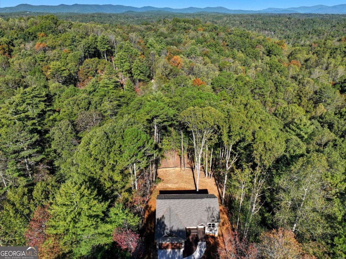 1968 Newport Drive Ellijay - 27