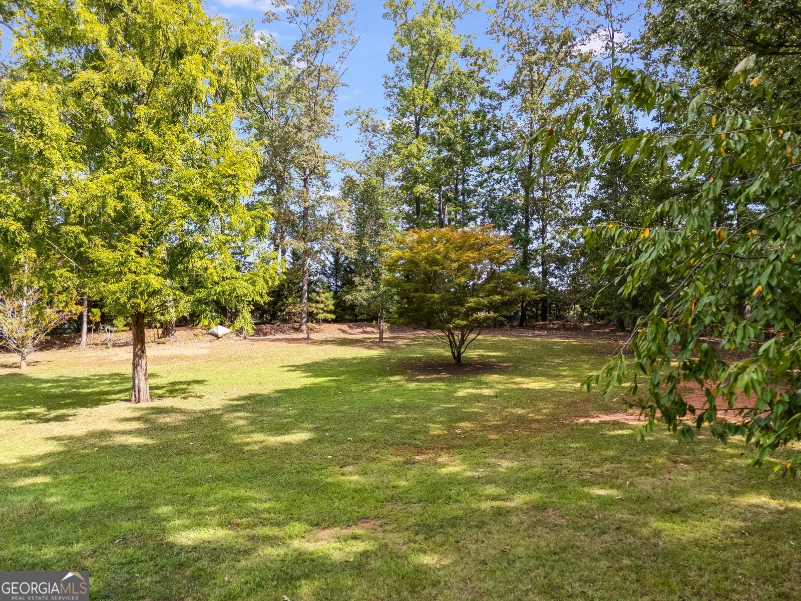 2620 Piney Point Drive Douglasville - 5
