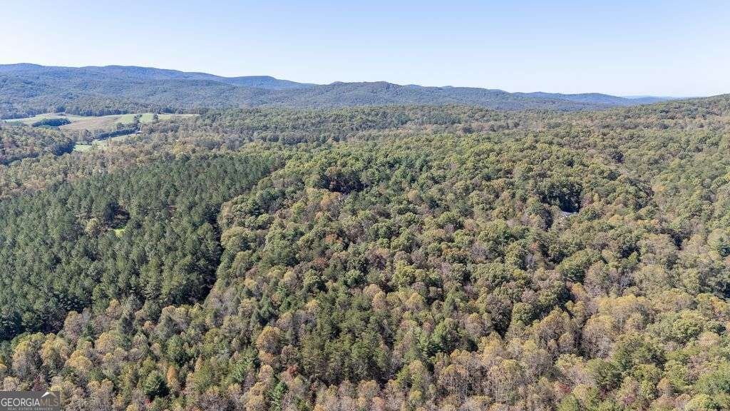 2091 Southern Road Ellijay - 35