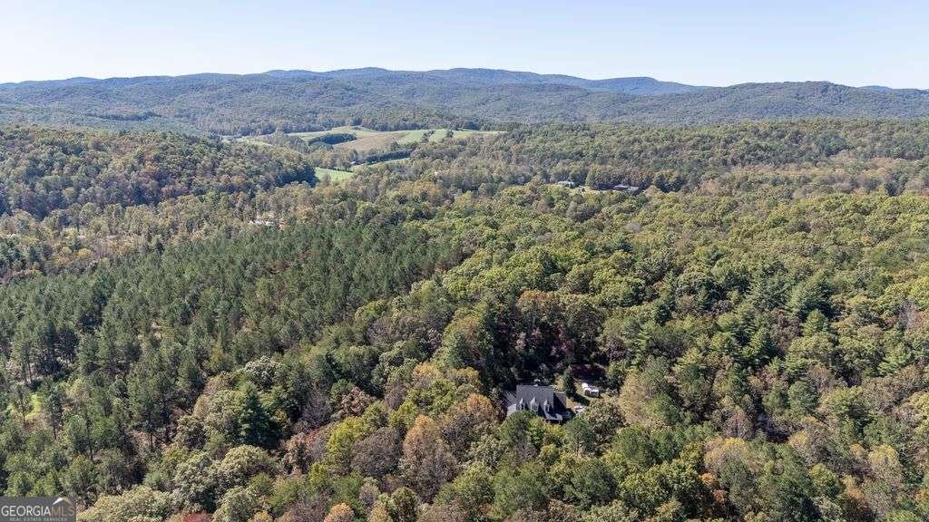 2091 Southern Road Ellijay - 37