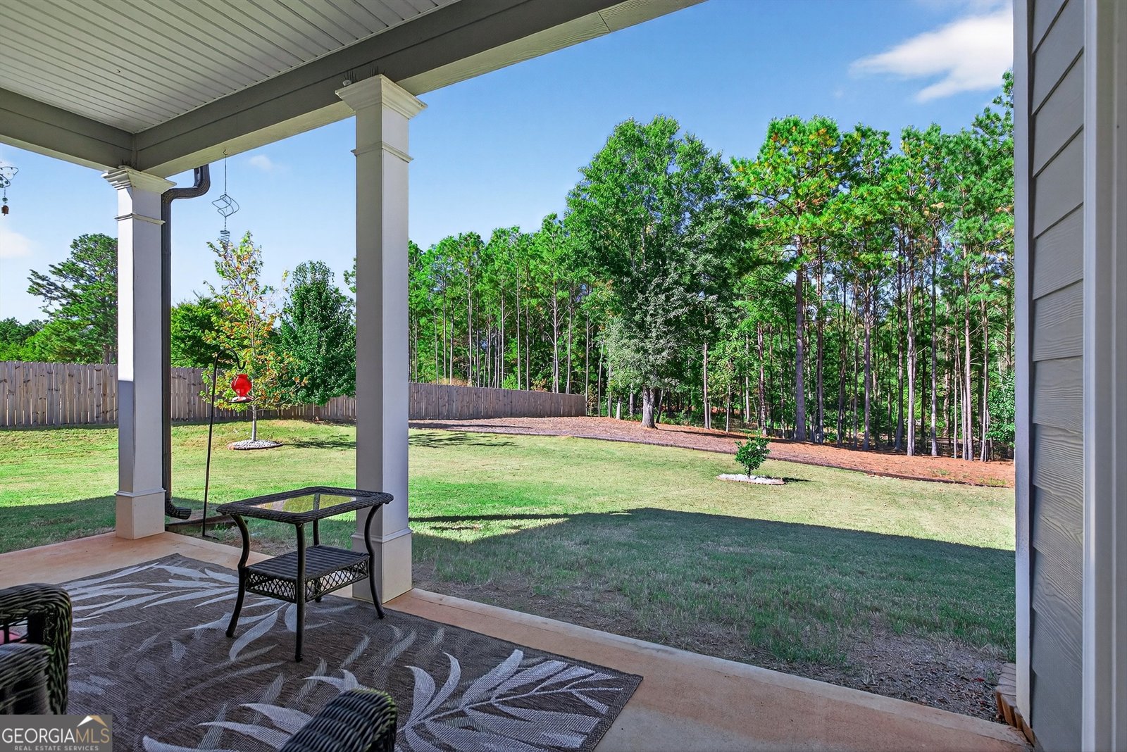 350 Cushing Street Senoia - 3