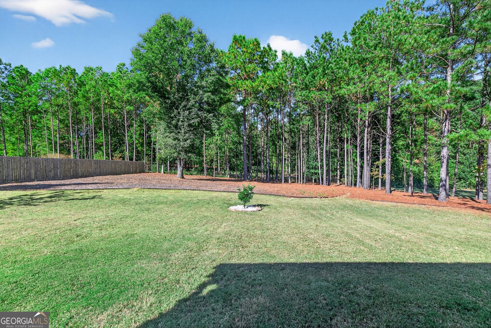350 Cushing Street Senoia - 5