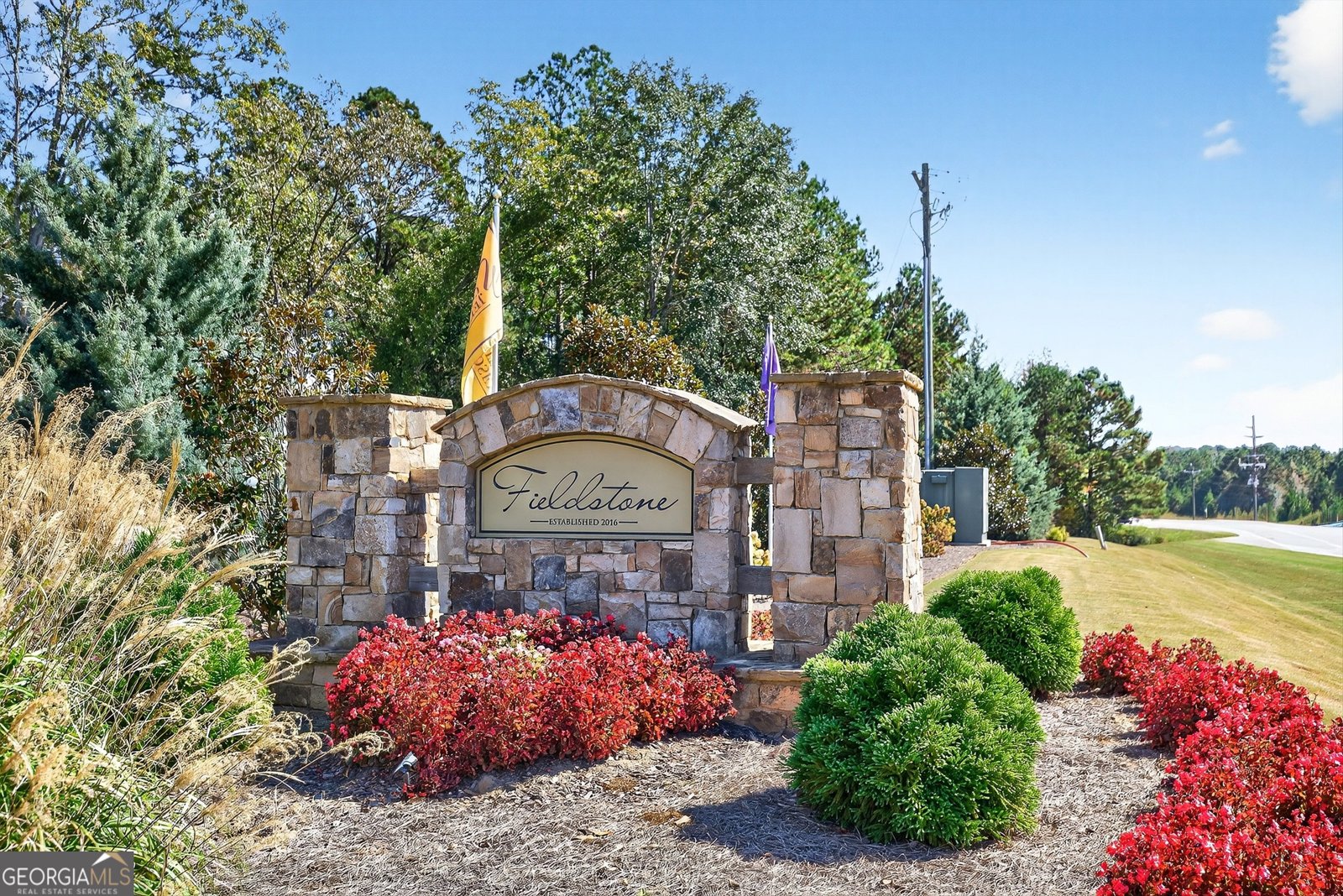 350 Cushing Street Senoia - 9