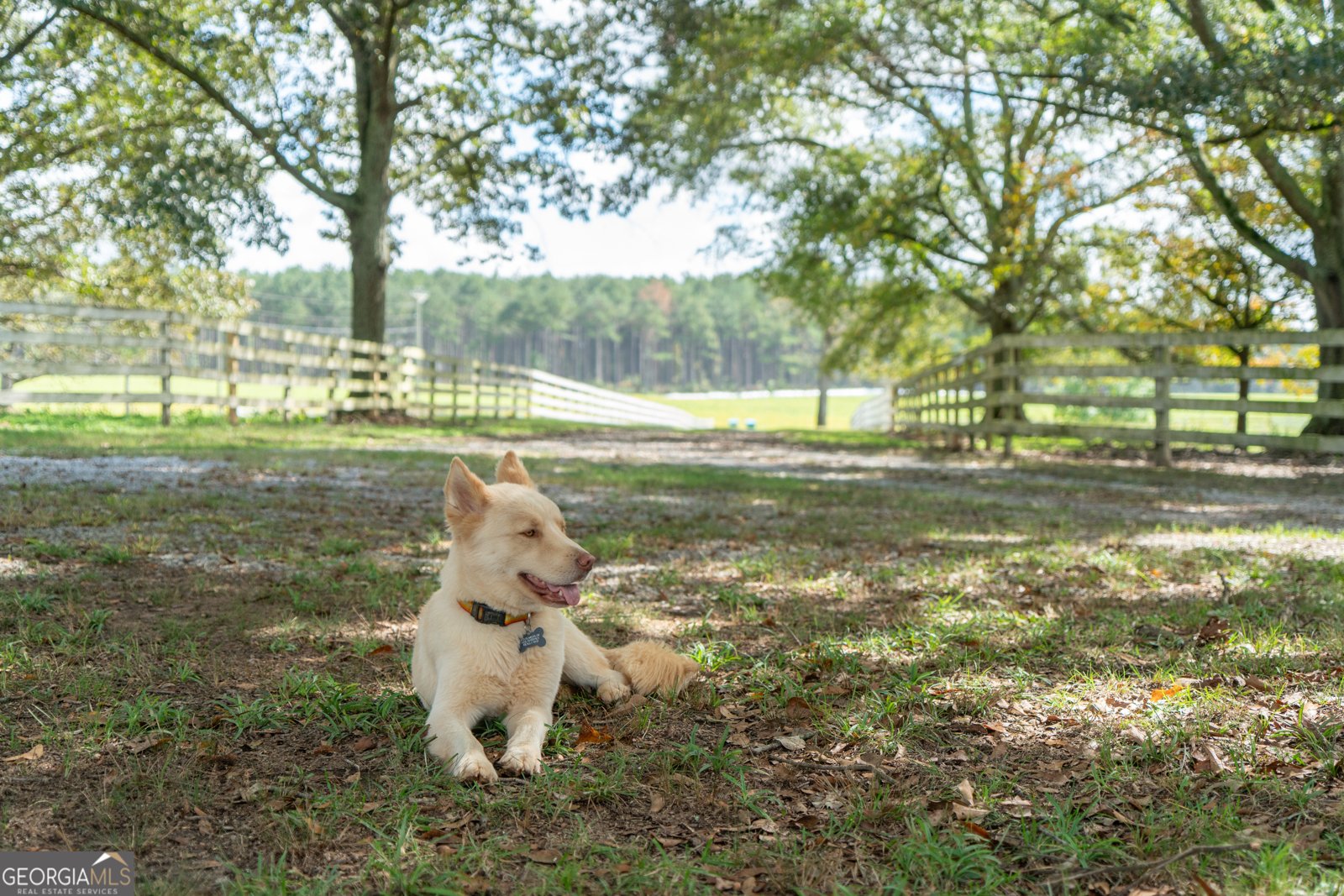 1963 Rehoboth Road Bowman - 5