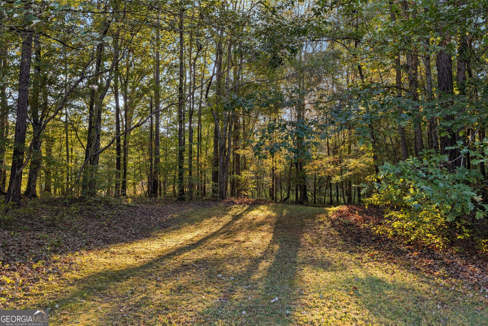 95 Acropolis Court Newnan - 34