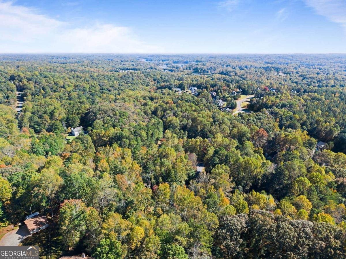36 Pelican Court Dawsonville - 10