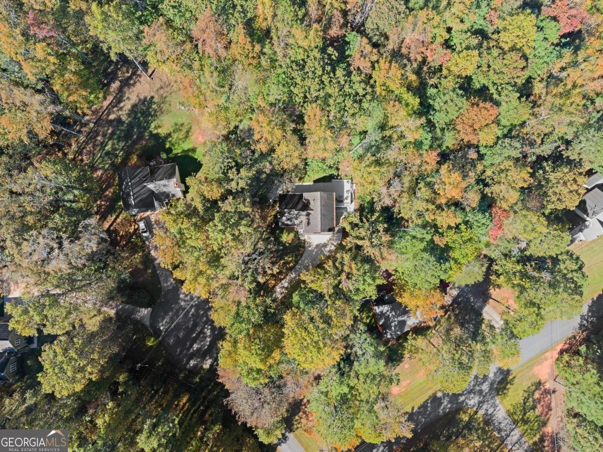 36 Pelican Court Dawsonville - 2