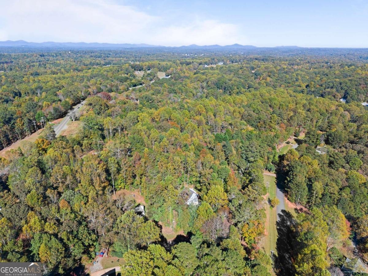36 Pelican Court Dawsonville - 3