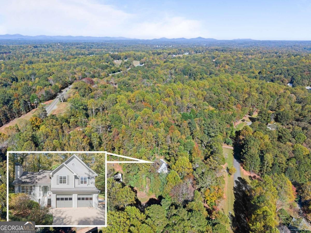 36 Pelican Court Dawsonville - 42