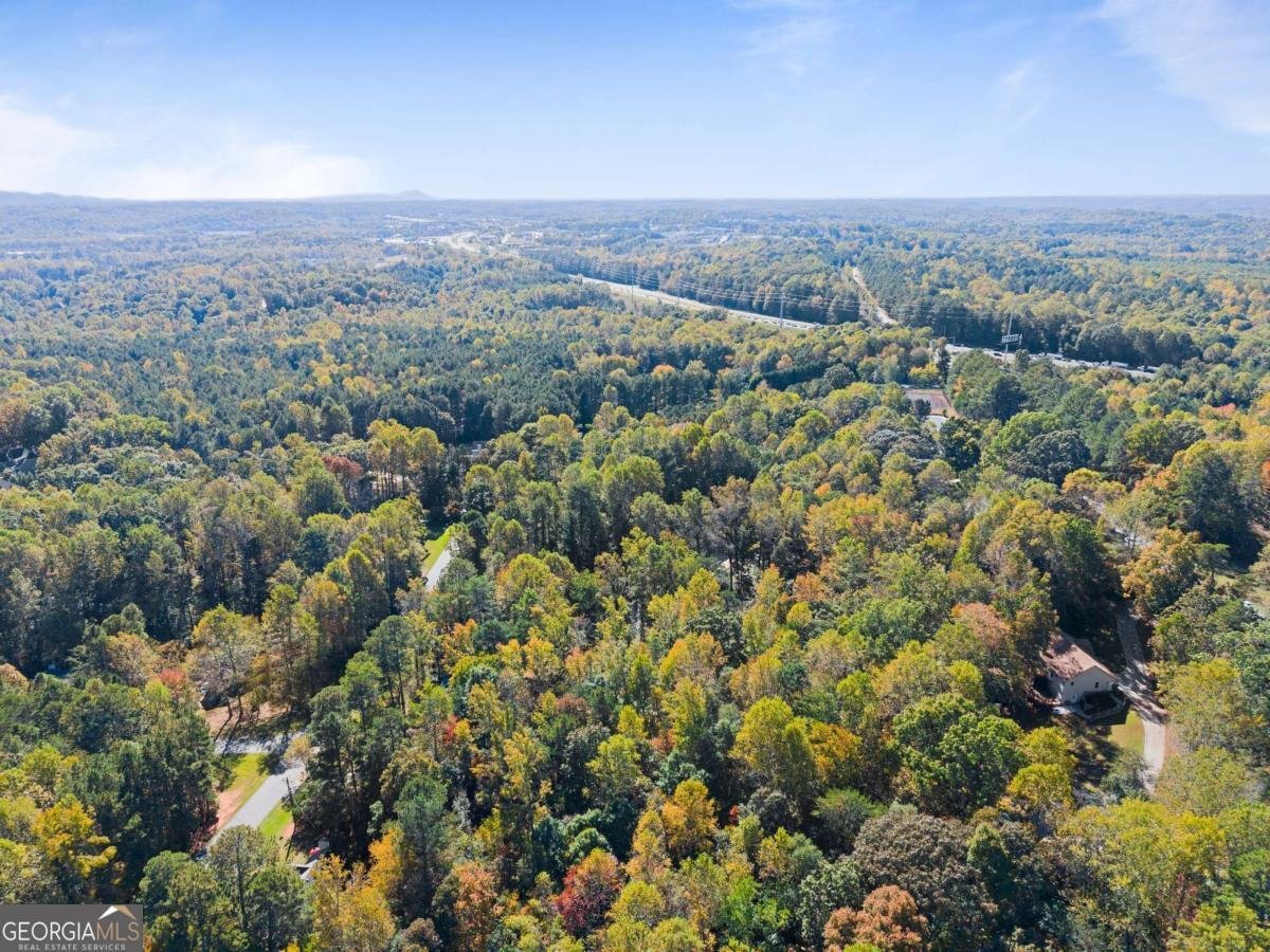 36 Pelican Court Dawsonville - 46