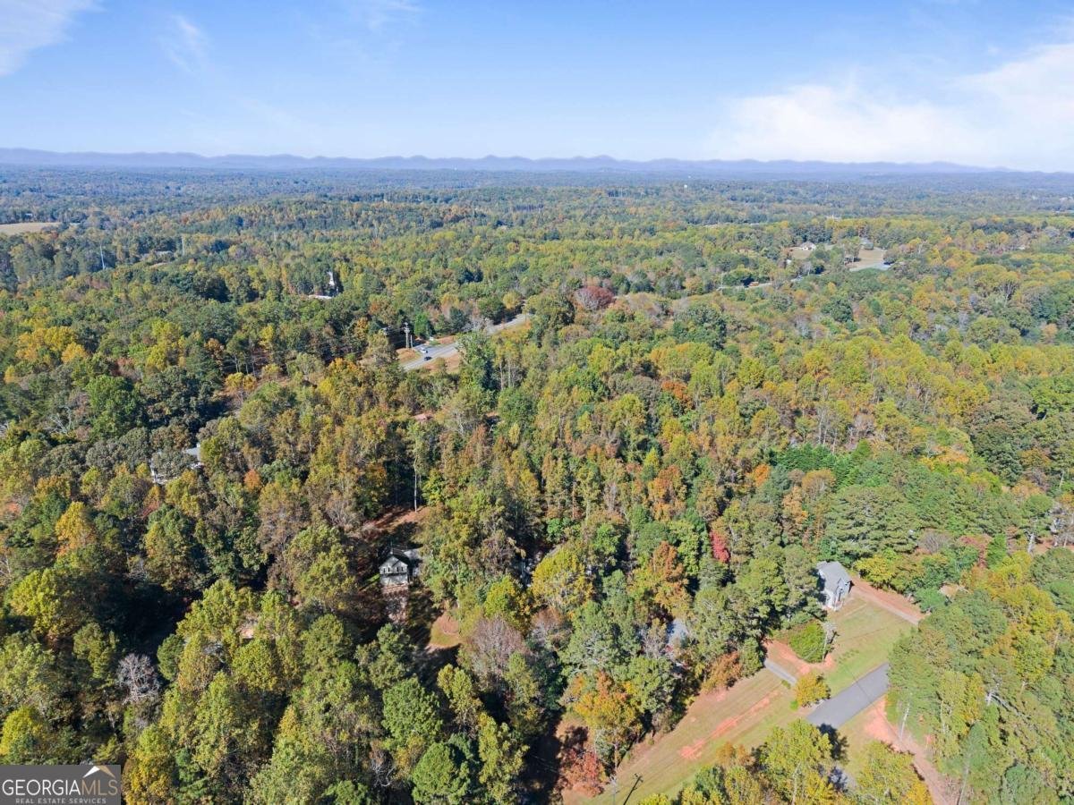 36 Pelican Court Dawsonville - 5