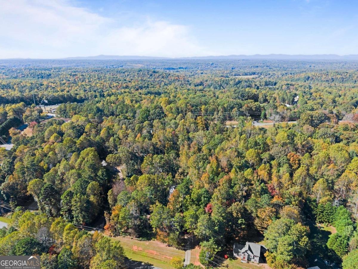 36 Pelican Court Dawsonville - 6