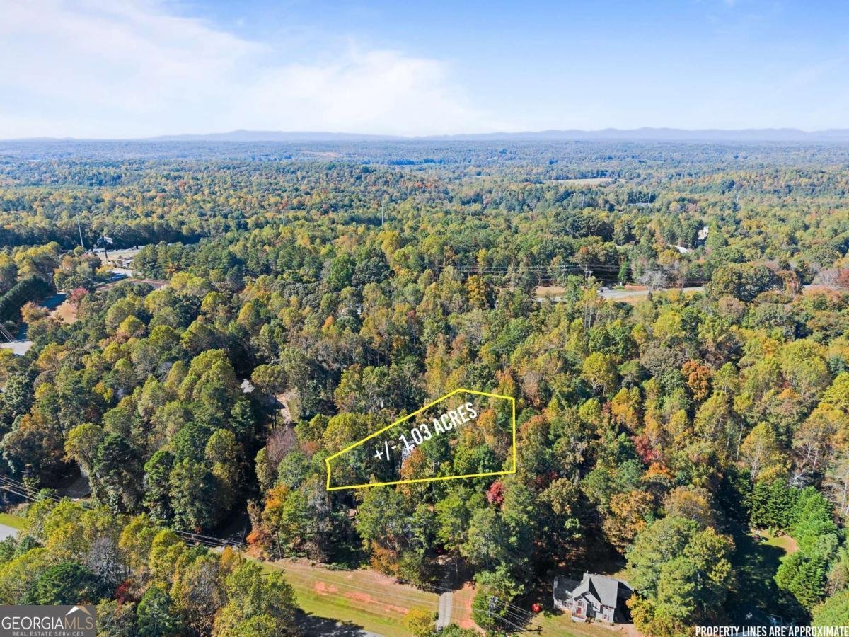 36 Pelican Court Dawsonville - 7
