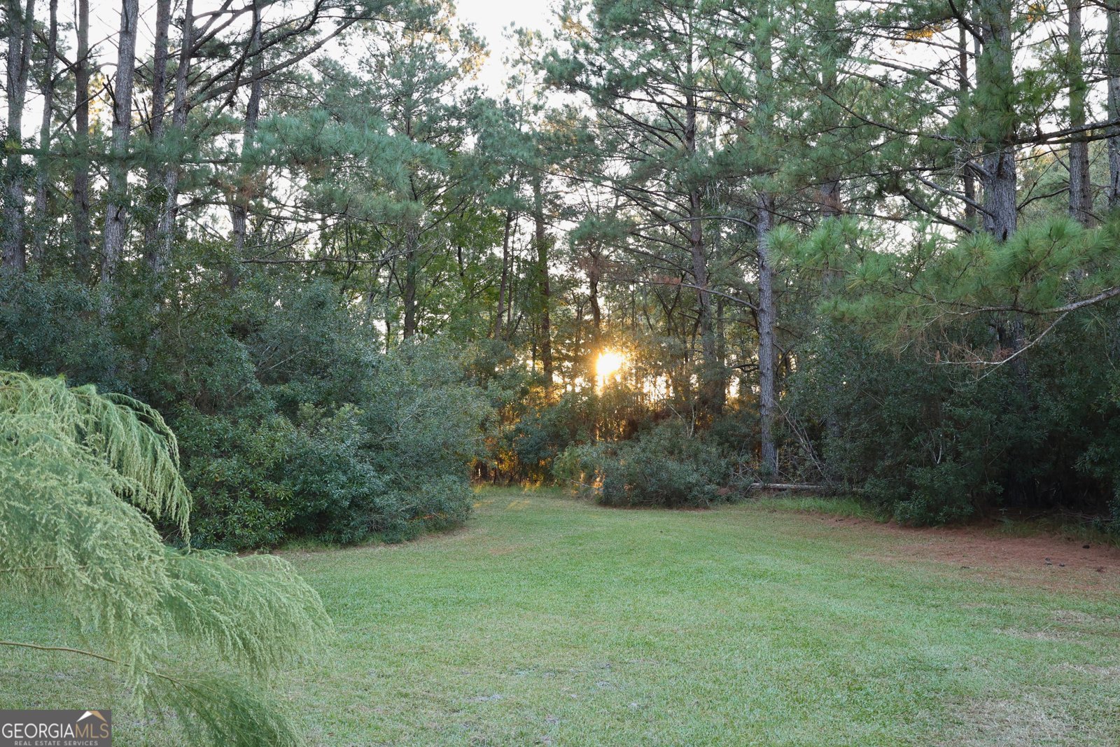 1314 Leefield Station Road Brooklet - 3