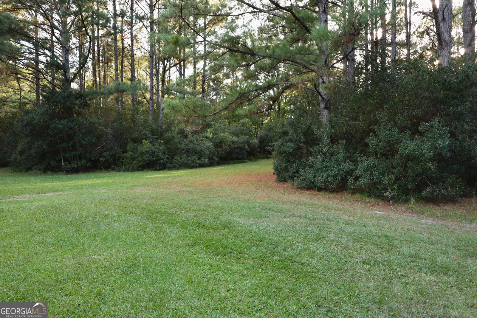 1314 Leefield Station Road Brooklet - 4