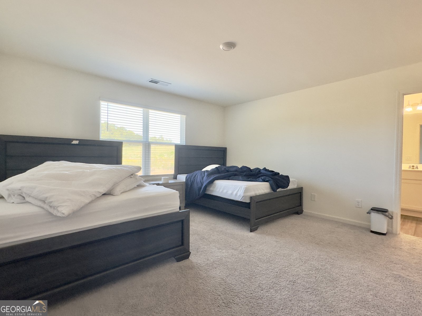 107 Ellicott Way Cartersville - 12